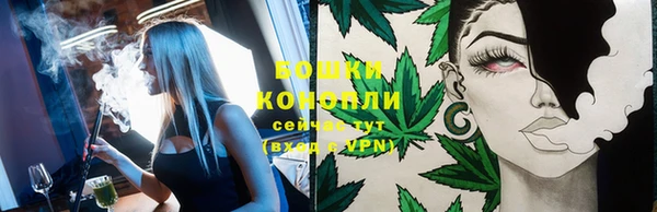 гидра Покровск