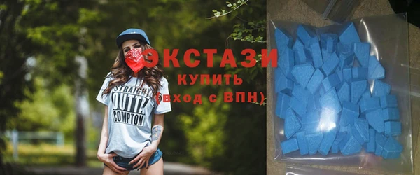 гашик Богородск
