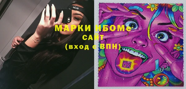 гашик Богородск