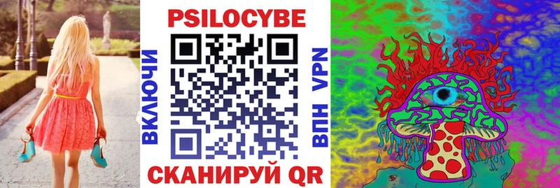 kraken рабочий сайт Сланцы Псилоцибиновые грибы Psilocybine cubensis